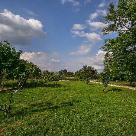Ankin Dvor Villa Galovac  Buitenkant foto