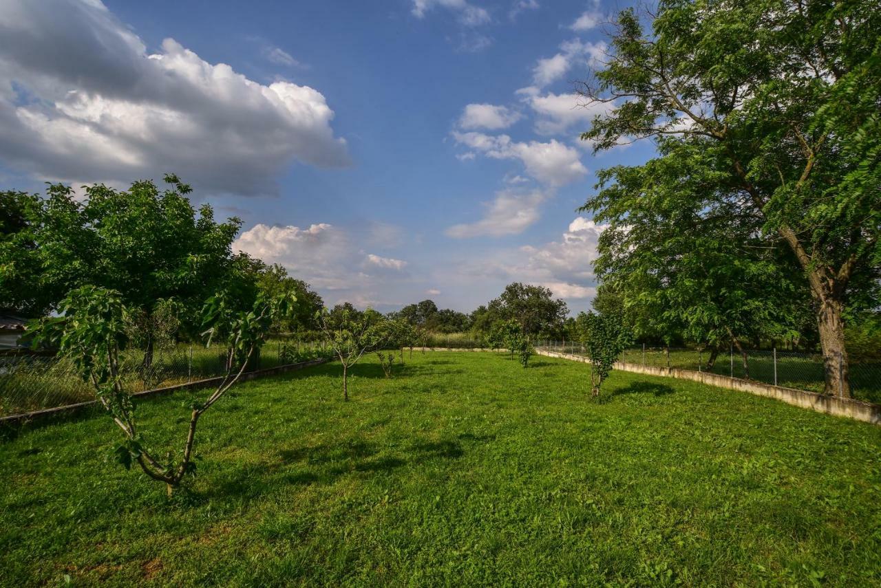 Ankin Dvor Villa Galovac  Buitenkant foto