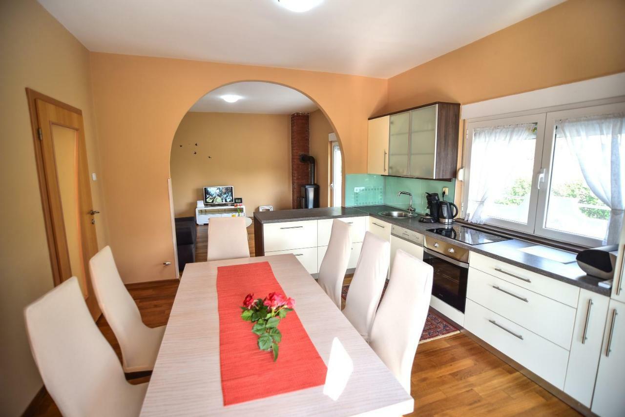 Ankin Dvor Villa Galovac  Buitenkant foto